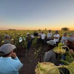 NK fuerte presencia en Expoagro con un porfolio de alto rendimiento y más servicios