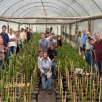 Concordia reunió a especialistas de seis países y avanza hacia un clúster productivo