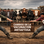 Noticias Diarias 17 de marzo