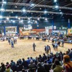 Expo Angus de otoño 2026: más de 1.050 reproductores y 130 expositores