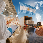 La avicultura recupera estatus sanitario y vuelve a mirar los mercados internacionales