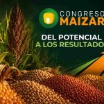 Maizar 2026: del potencial a los resultados en un año récord para el maíz
