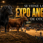 Noticias Diarias 23 de abril