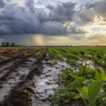 Tras un mes de lluvias intensas, crece la expectativa por la presencia del Niño hacia la primavera