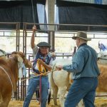 Desde Formosa llegó el gran golpe Brahman en Las Nacionales 2026