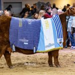 Expo de Otoño: La suprema fue para La Rubeta y el supremo para “La Juanita” 