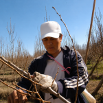 RENATRE actualizó la prestación por desempleo rural y el beneficio máximo llega a $382.453