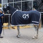 La alianza estratégica entre un desarrollador de genética de polo y una marca de alimento deportivo que hizo su debut en La Rural