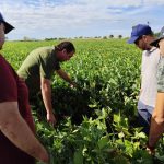 Sigma Agro y Betta Biotecnología llevarán a Aapresid 2026 una estrategia agronómica integrada