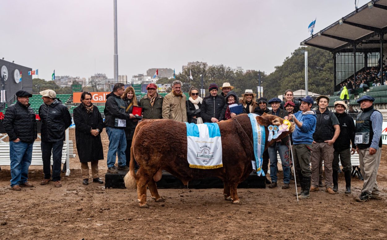 Limangus se consagró en Palermo: mejor res de toda la Exposición y destacados campeones en las juras