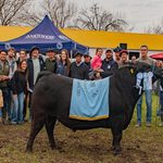 Angus reafirmó su protagonismo en la 82ª Expo Rural de Federal