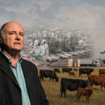 Ignacio Iriarte: “La Argentina tiene mercados, pero no tiene suficiente carne”
