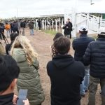Más de 400 productores analizaron en Humboldt el negocio de la carne Holando