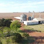 Argentina y Paraguay medirán durante tres años el impacto real de la agricultura regenerativa