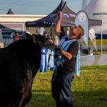 Don Cholo se consagró como el Gran Campeón Macho de Primavera y La Juanita logró el Gran Campeón Ternero
