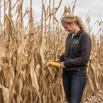 Bayer avanza en su portafolio integrado de semillas y protección de cultivos, y entra en una nueva etapa de lanzamientos estratégicos