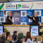 Angus de Primavera: dos remates movilizaron 15.500 cabezas y mostraron la firmeza del negocio ganadero