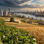 Con una buena campaña, el agro podría generar un récord de US$ 42.200 millones en exportaciones