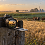 Periodistas de la imagen: los ojos del campo argentino