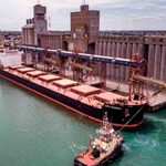 Puerto Quequén: las rurales cuestionan el destino de los fondos y reclaman definiciones sobre la vacunación antiaftosa