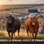 Noticias Diarias 21 de septiembre