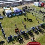 La Rubeta junto con Arandú y Don José, son los primeros ganadores en lotes de Angus de Primavera