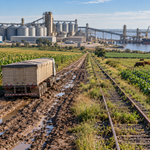 “El agro argentino debería tener el doble de tamaño”