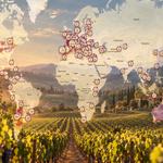 De Mendoza al Valle de Barossa: el nuevo World Winery Map mide el terroir de cada viñedo del planeta