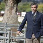 ¿Qué animal hay que producir?: la experiencia uruguaya frente a las nuevas exigencias del mercado de carne