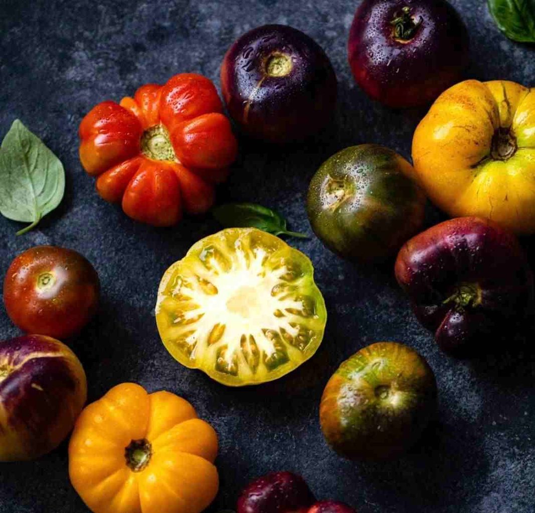 Don Pacho busca recuperar el sabor del tomate