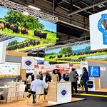 La carne Angus certificada triplica sus exportaciones y apuesta a Asia